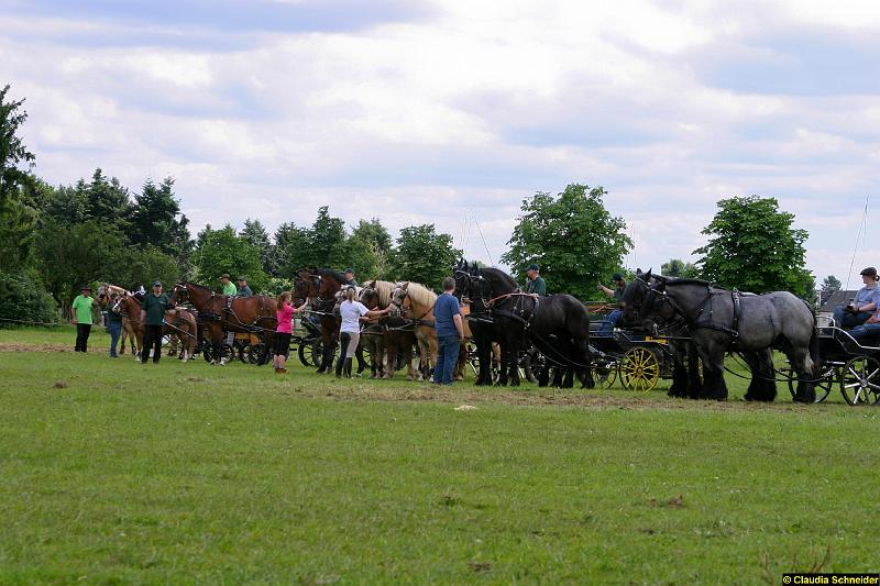 Ponytag Bosbach 2012-056.jpg